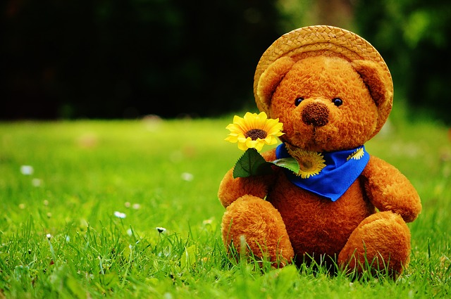 teddy-bear-792273_640